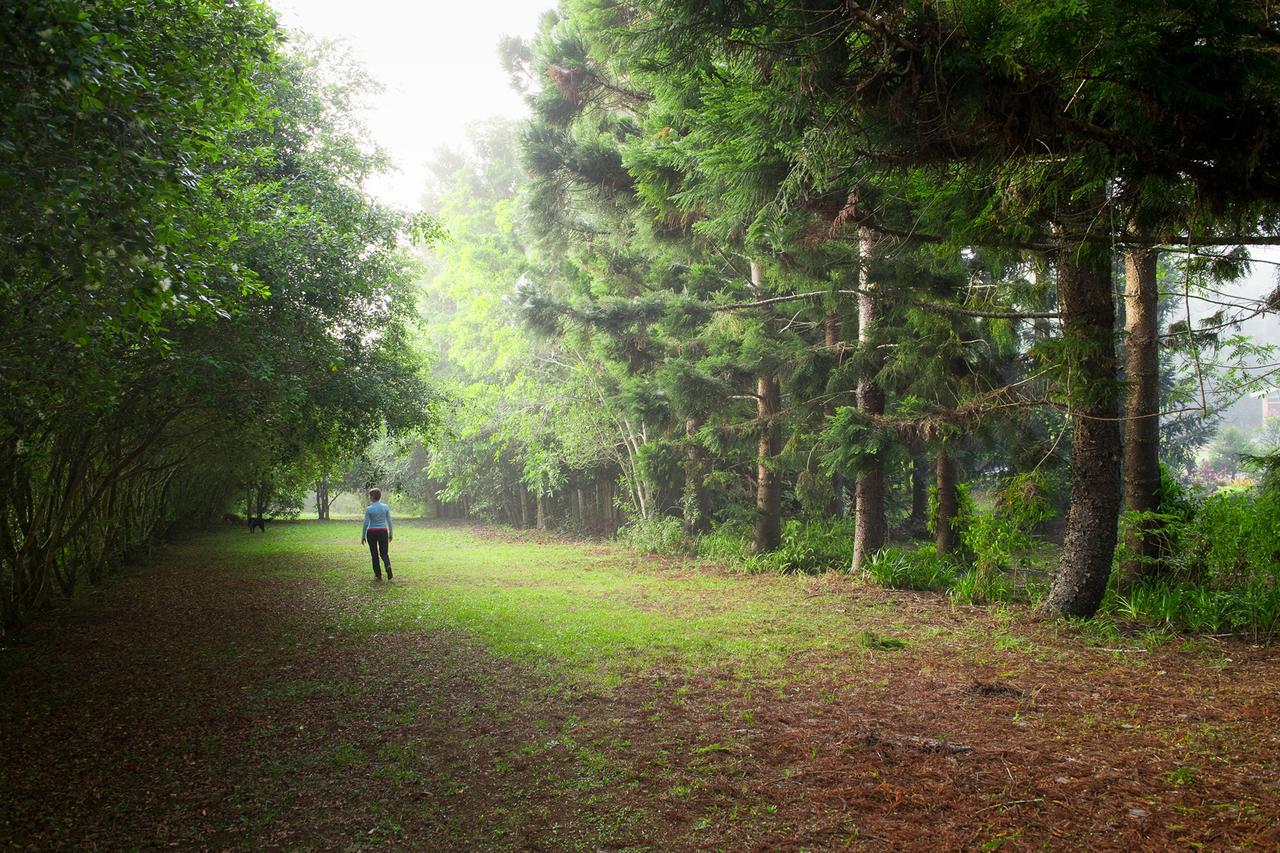 Sharlynn By The River Malanda Exterior photo